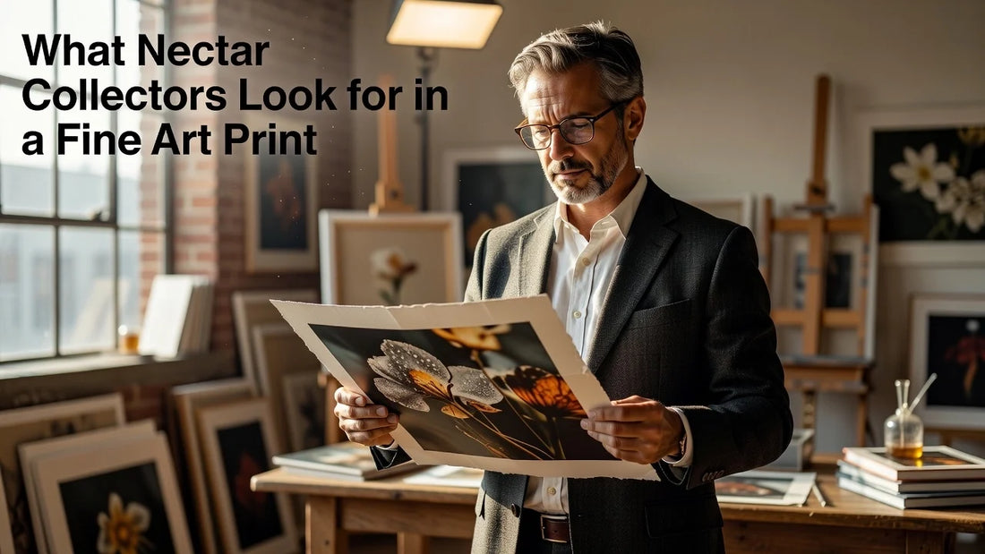 Professional header image for list-based article: What Nectar Collectors Look for in a Fine Art Print